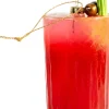 Yup in de Boom kerst ornament bloody mary rood D 5,5 H 14 cm